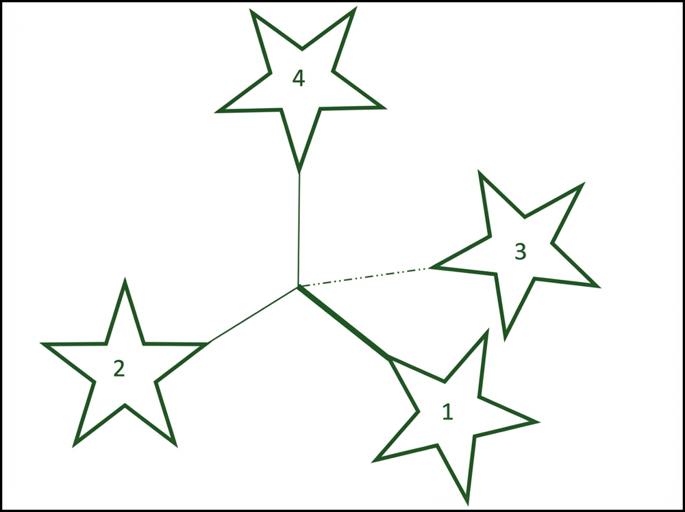 Exam figure: a three-dimensional object made of four numbered stars